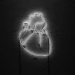 Meet your Posher, Sami